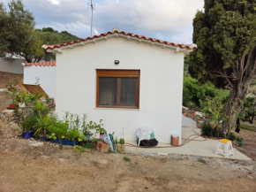 Kosmarana skopelos realty